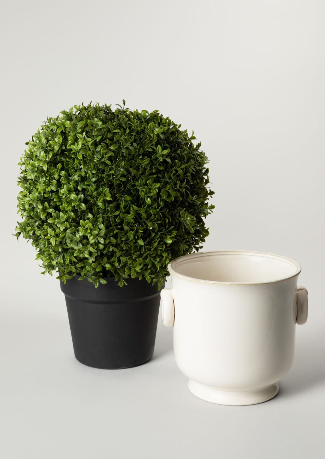 Faux Boxwood Topiary Potted Plant with Cream Ceramic Cache Pot