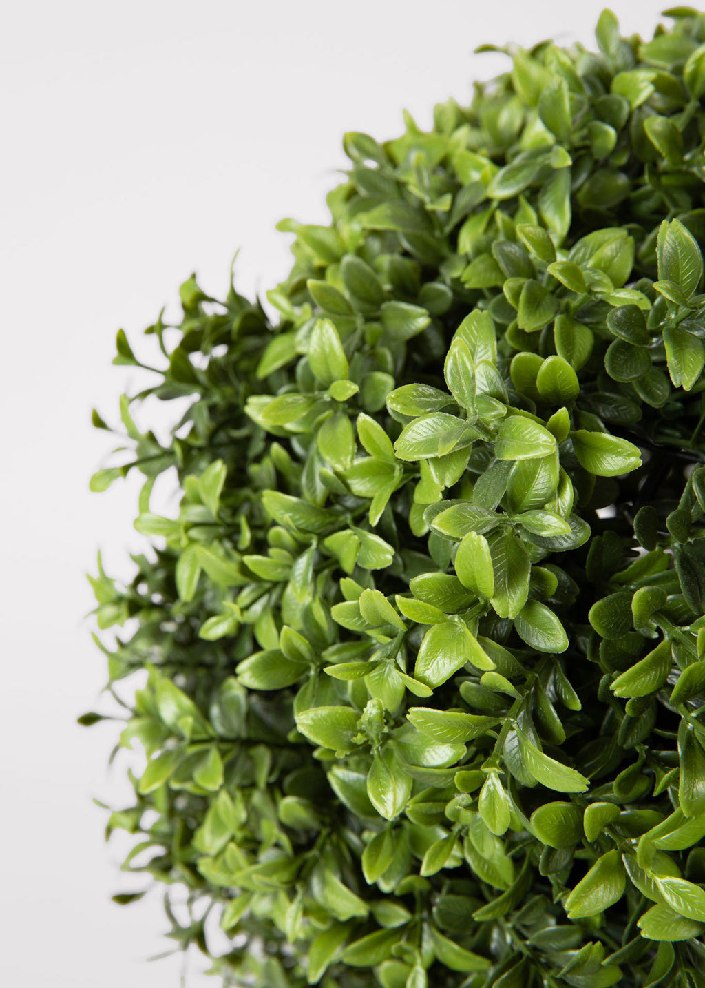 Close Up of Artificial Boxwood Topiary Plant