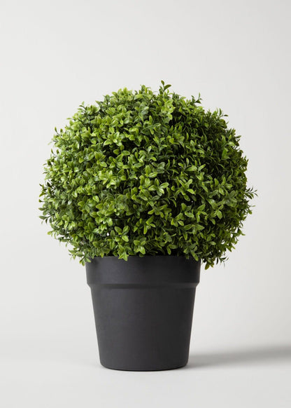 Fake Plant Boxwood Topiary Potted in Black Plastic Pot