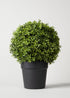 Fake Plant Boxwood Topiary Potted in Black Plastic Pot