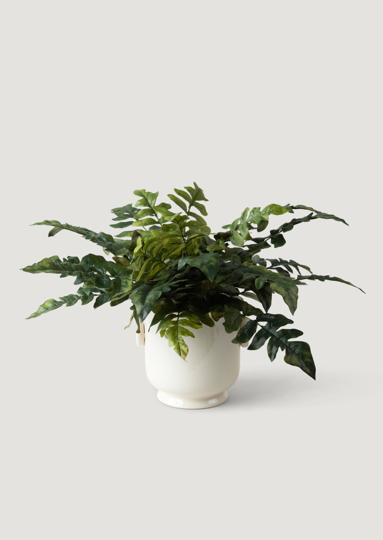 Cream Cache Pot Styled with Artificial Royal Fern Plant