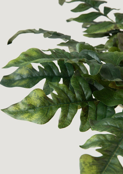 Green Artificial Royal Fern Leaves Closeup