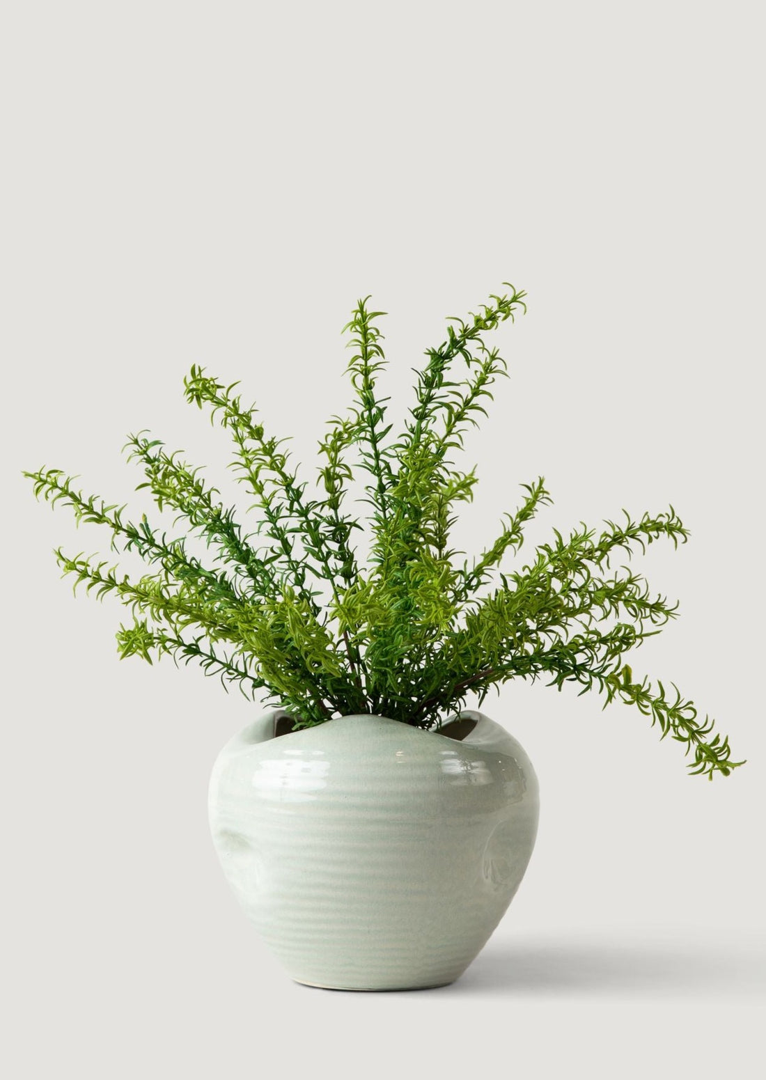 Artificial Rosemary Bush Styled in Sage Elsa Vase