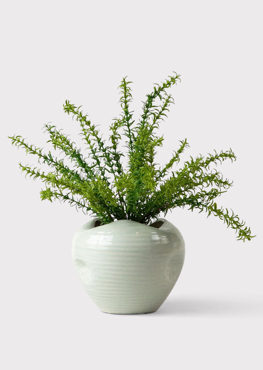 Artificial Rosemary Bush Styled in Sage Elsa Vase