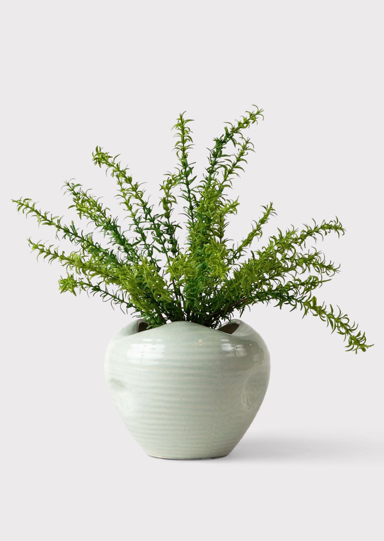 Artificial Rosemary Bush Styled in Sage Elsa Vase