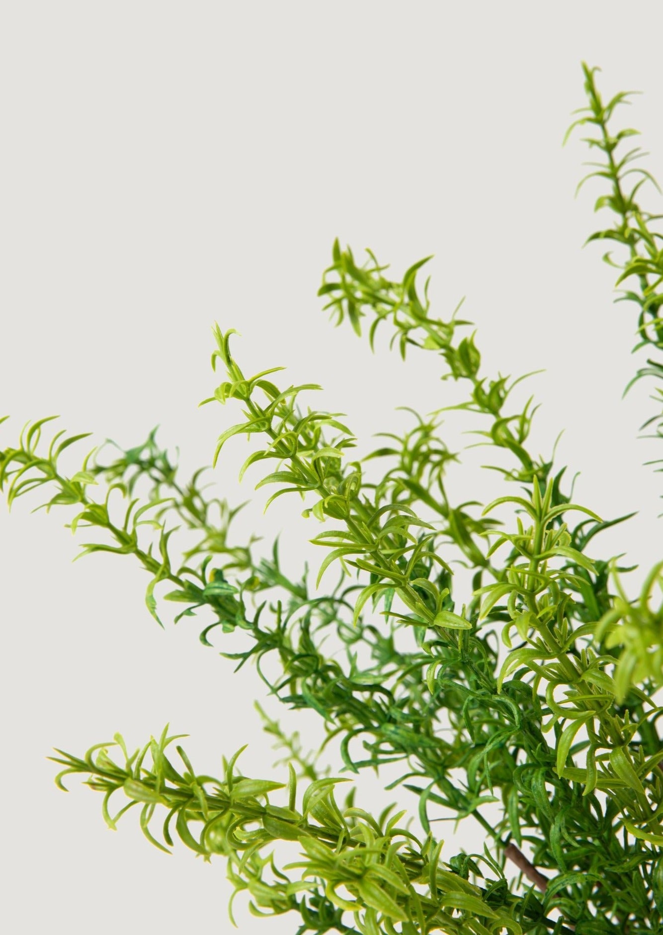 Green Artificial Rosemary Foliage in Closeup View