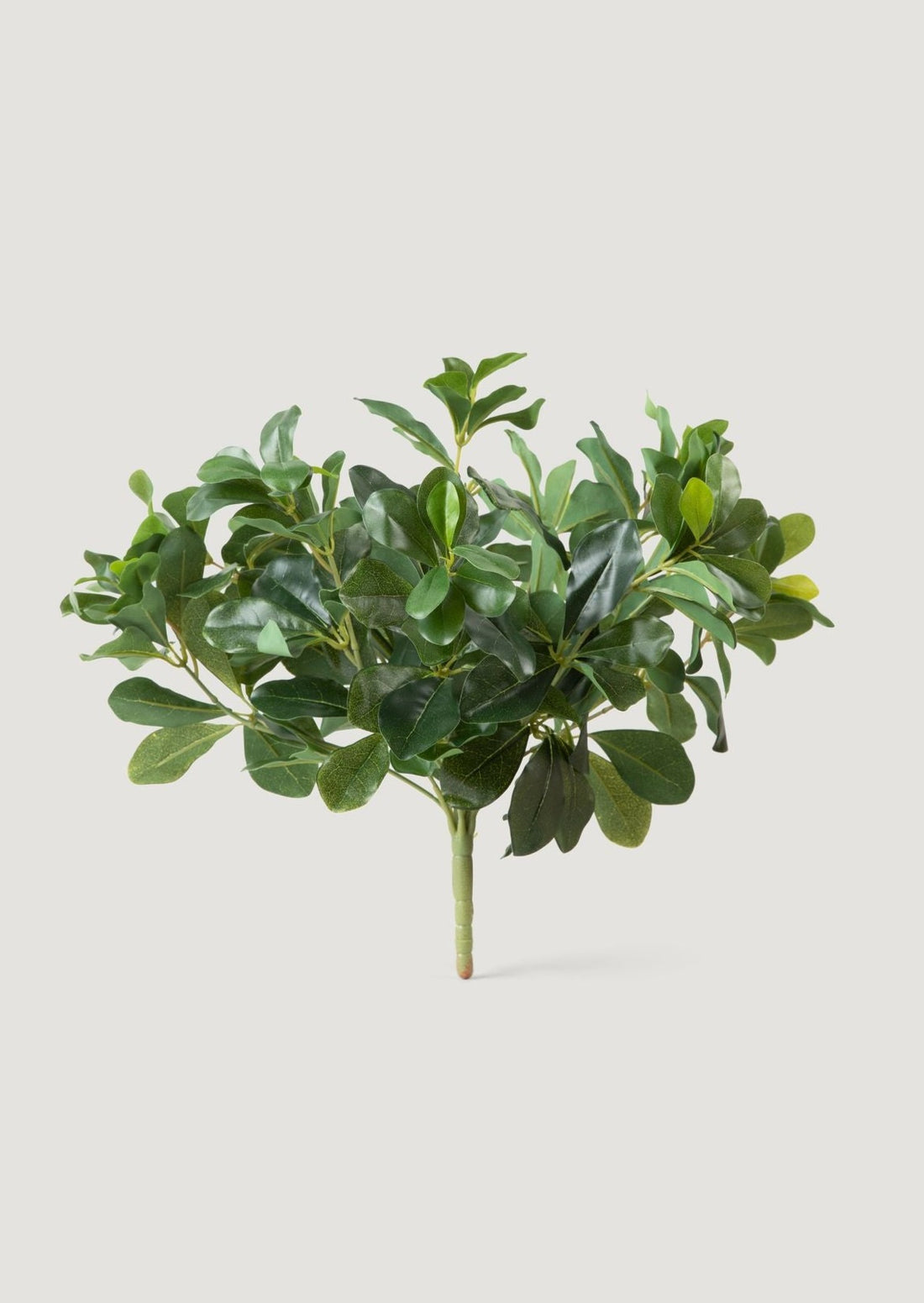 Luxe Faux Plants Wax Privet Leaf Bush