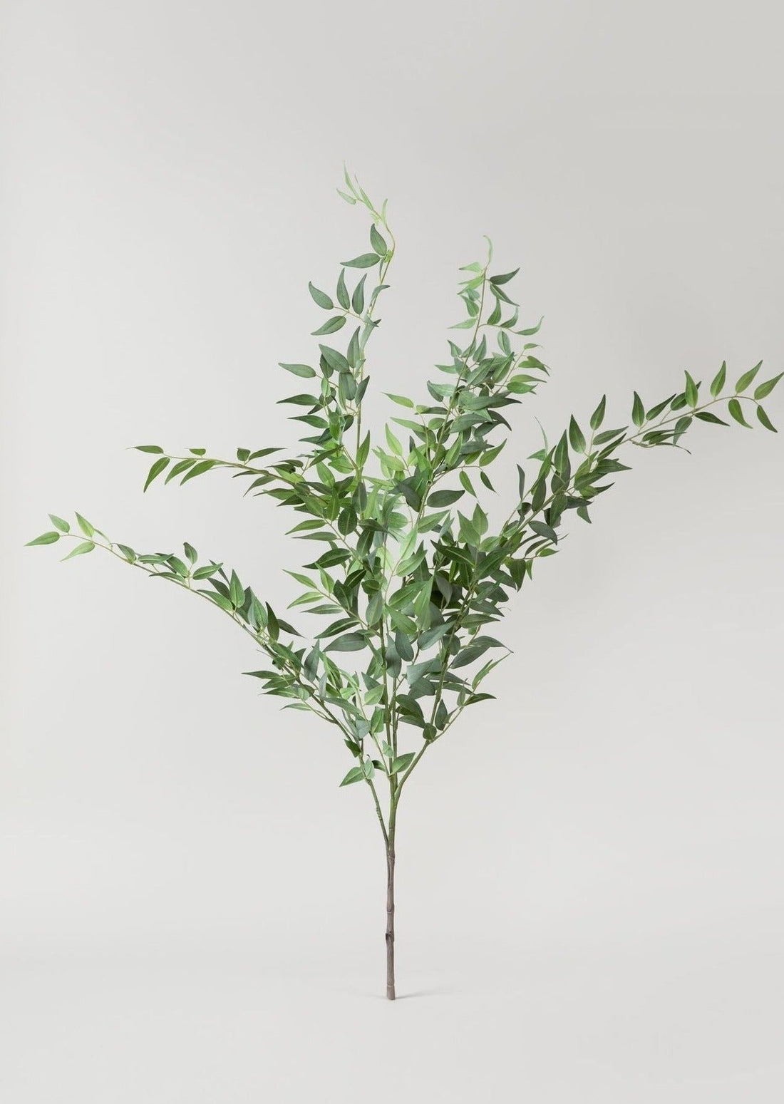 Artificial Italian Ruscus Spray at Afloral