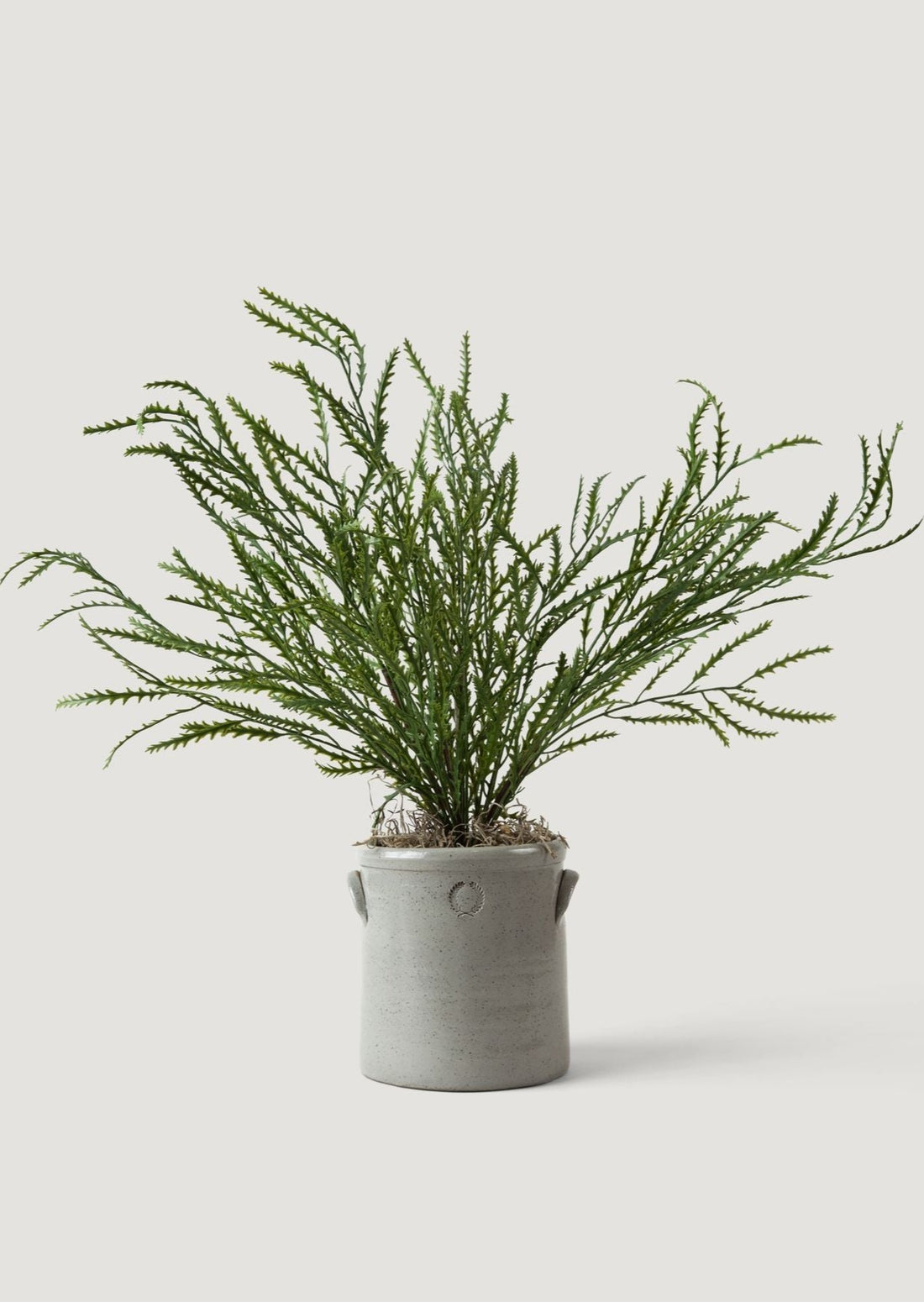 Faux Staghorn Plant Styled in Grey Glaze Stoneware Crock by Farmhouse Pottery