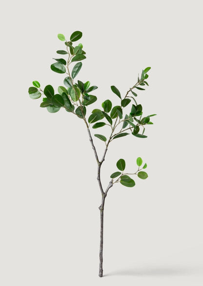Artificial Italian Ficus Branch