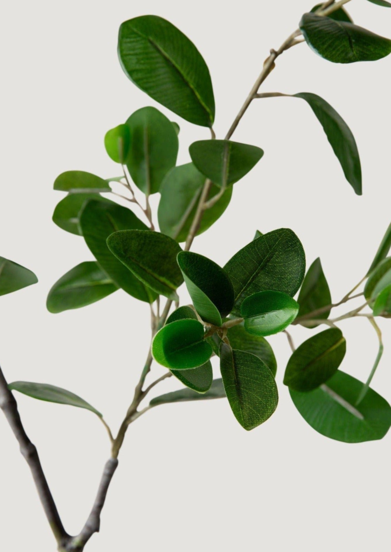Artificial Italian Ficus Leaves
