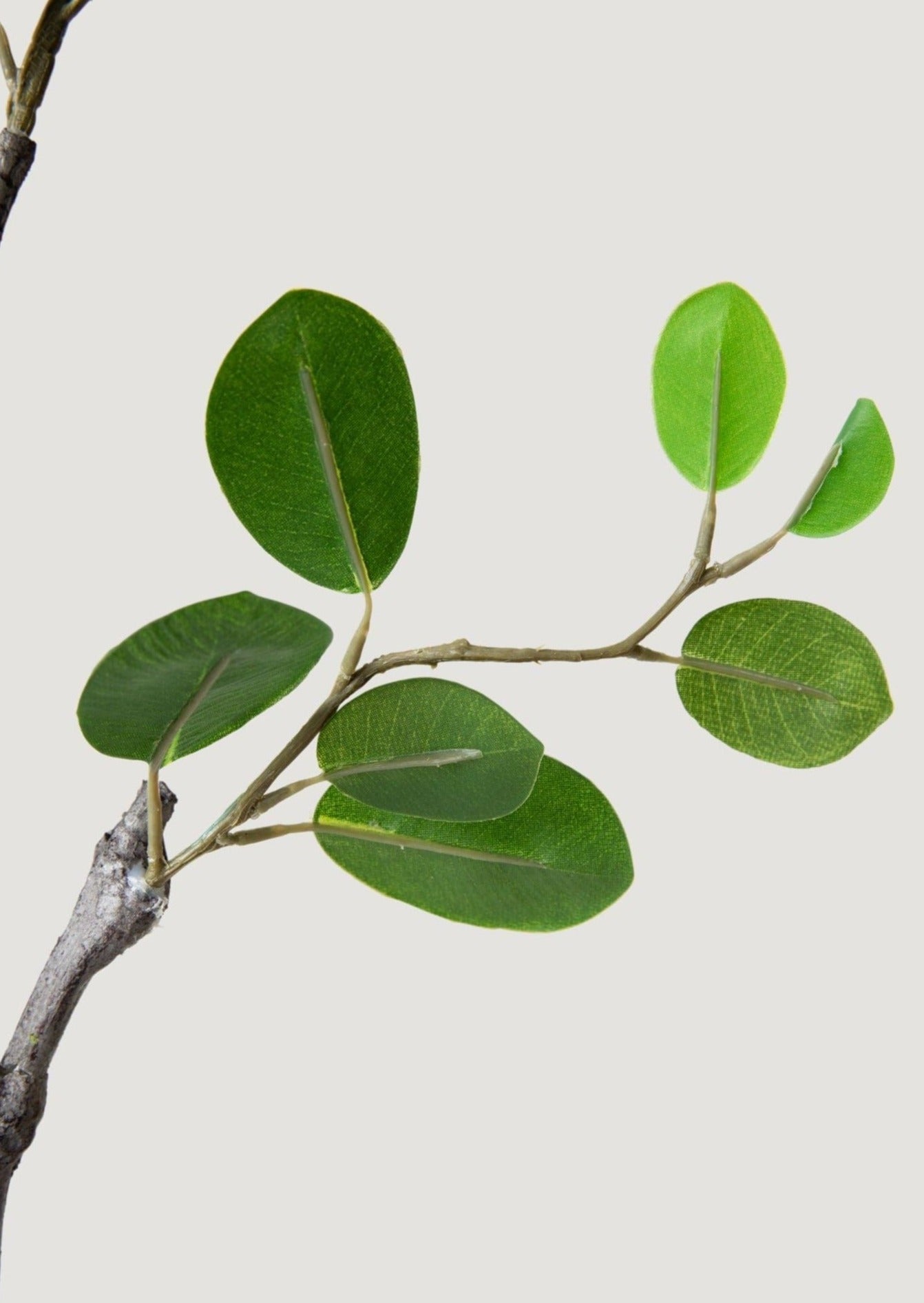 Artificial Italian Ficus Leaf Branch