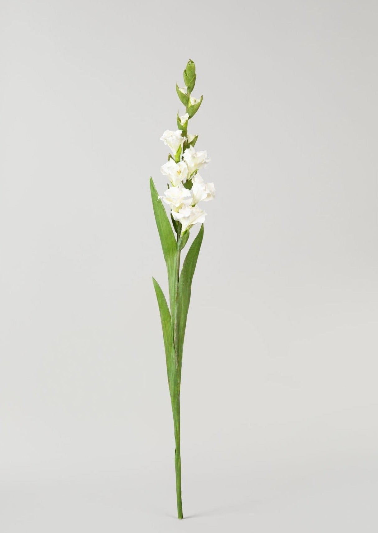 Luxury Faux Flowers Tall Gladiolus Stem in White
