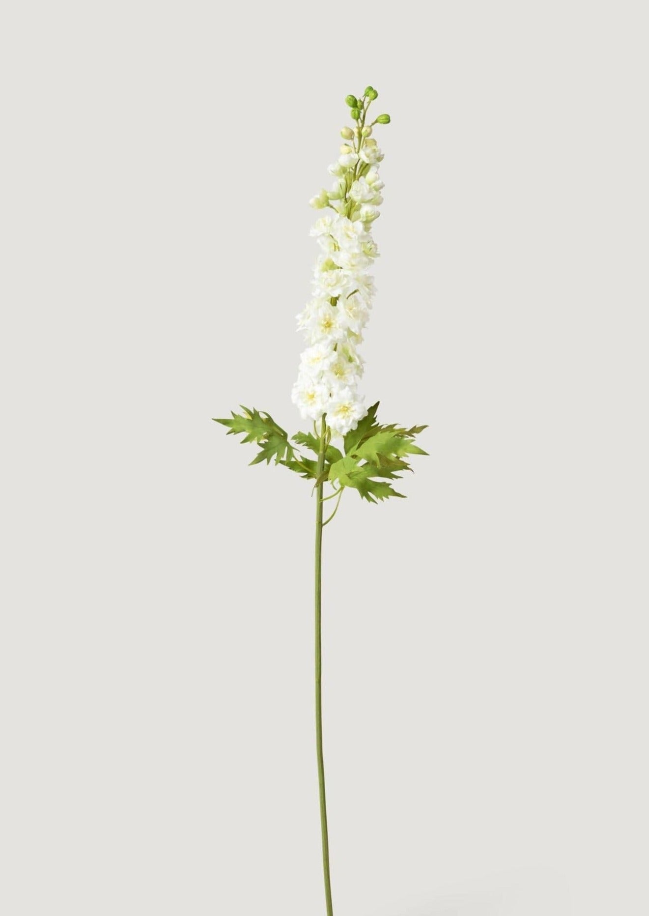 White Real Touch Delphinium from Afloral