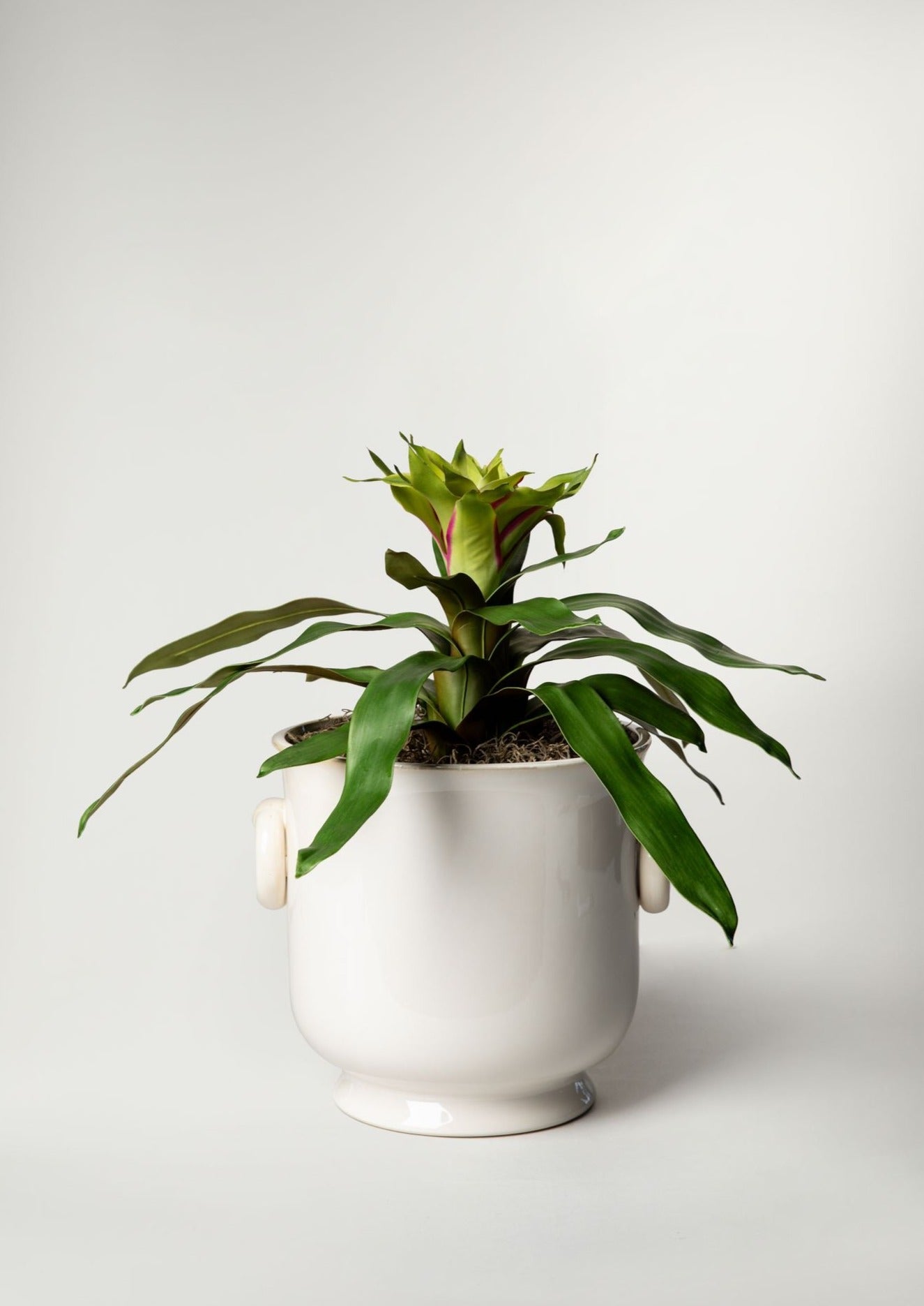 Artificial Bromeliad Plant in Cache Pot