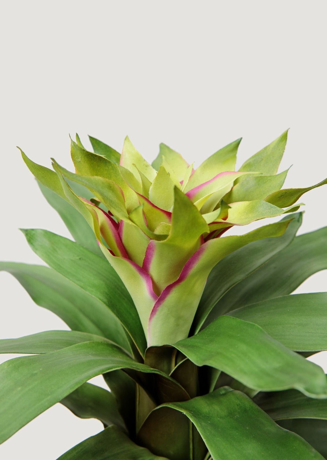 Artificial Tropical Bromeliad Plant in Closeup View at afloral