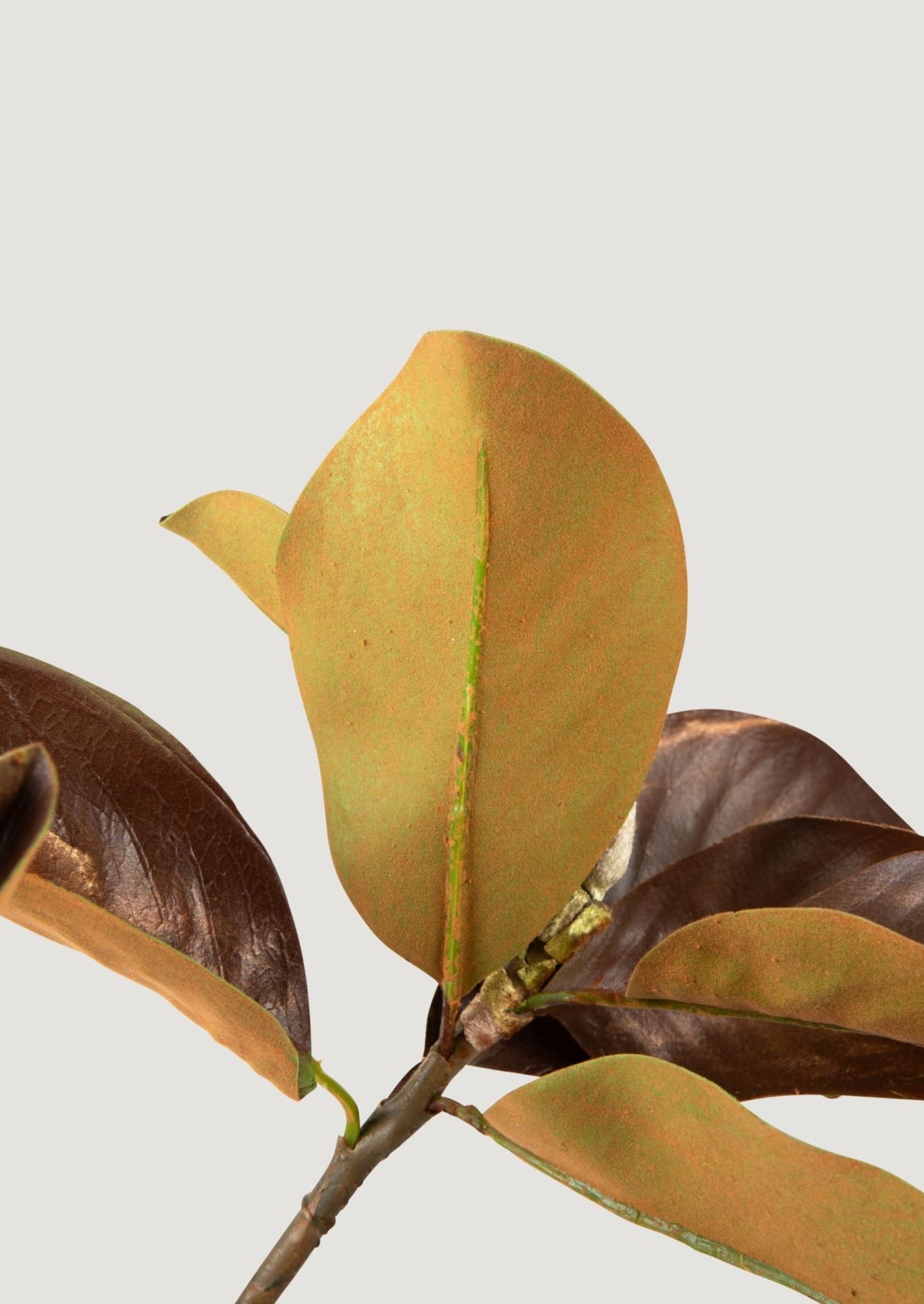 Faux Brown Magnolia Leaves