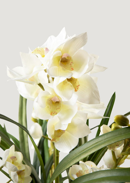 Artificial Potted Arrangement of White Blooming Cymbidium Orchids