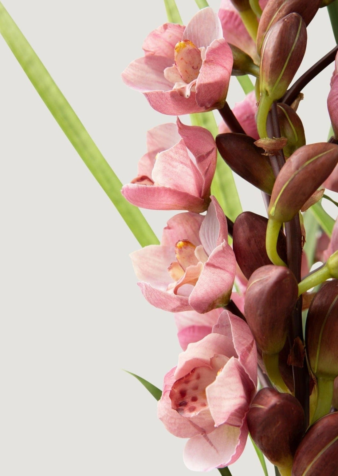 Faux Flower Arrangement of Mauve Orchids at Afloral