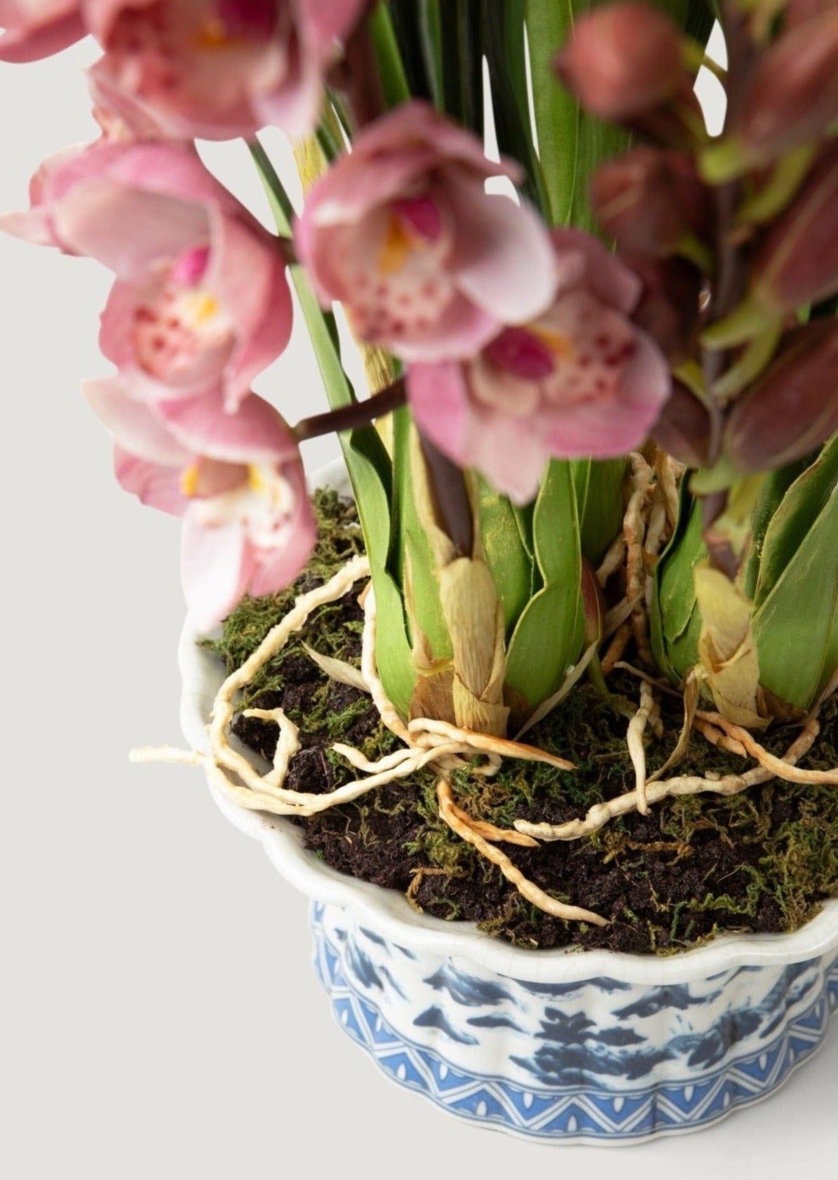 Close Up of Roots of Artificial Orchid Arrangement