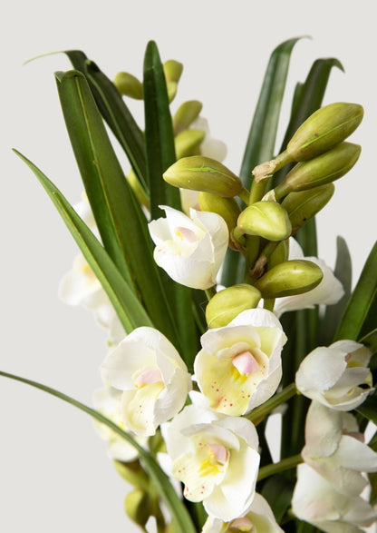 Faux Blooming Flower Arrangement of Cream Orchids at Afloral