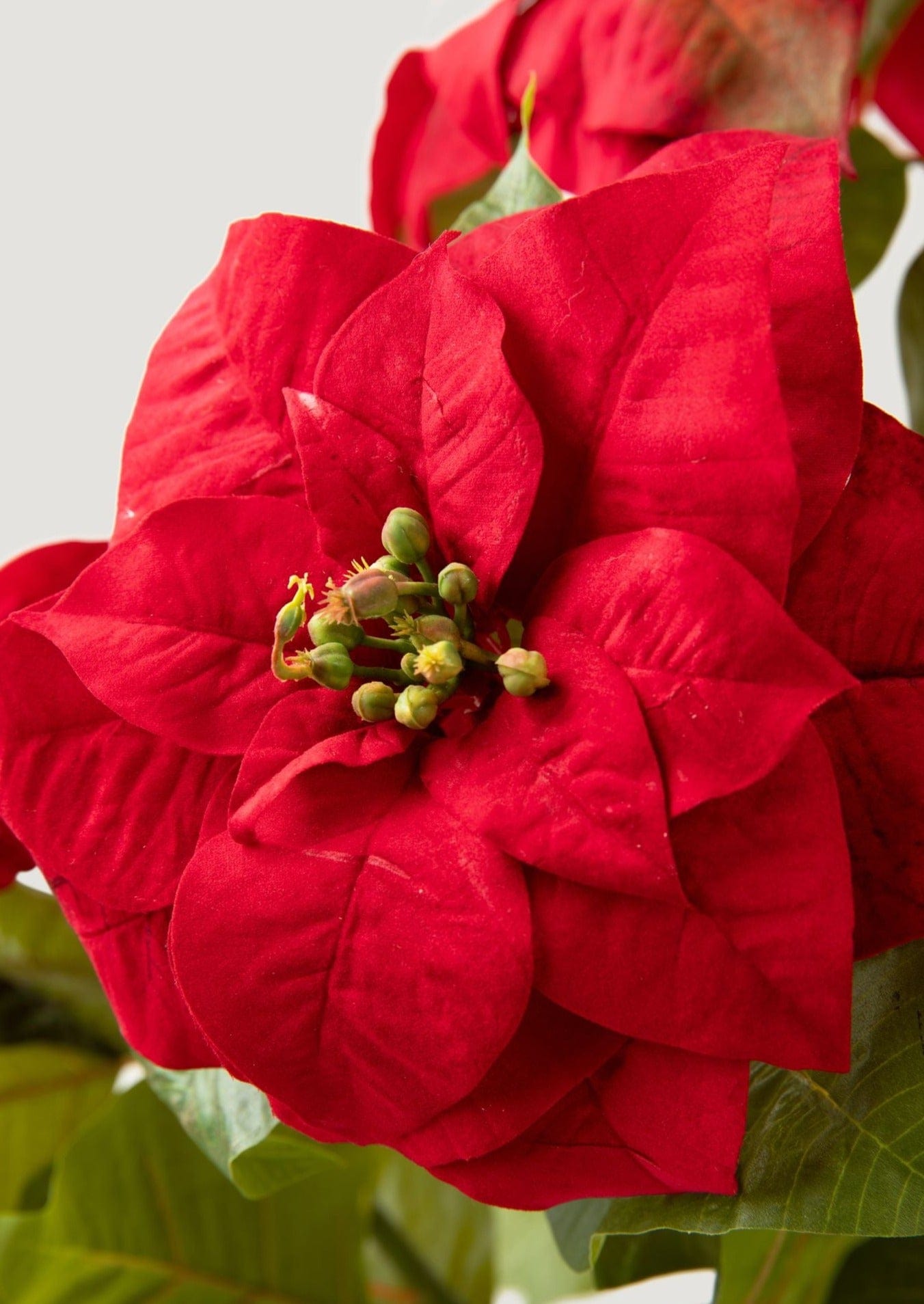 Artificial Poinsettia Plant in Red