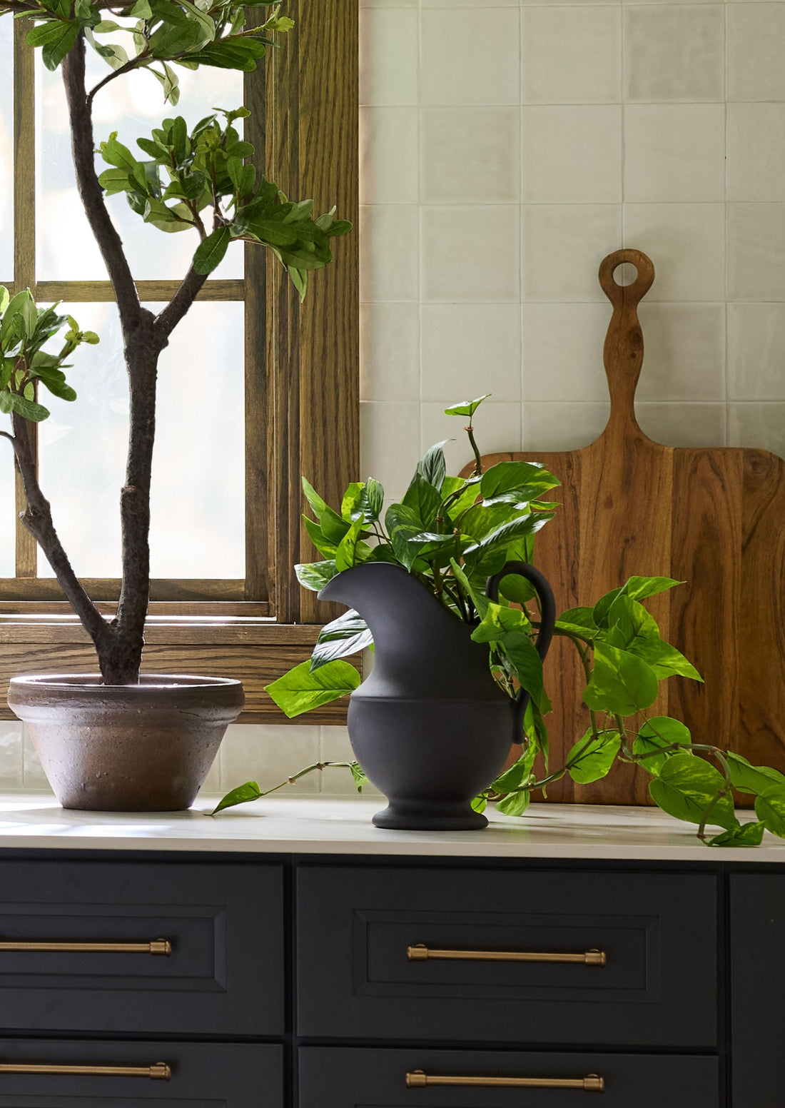 Decorative Pitcher with Potted Plant