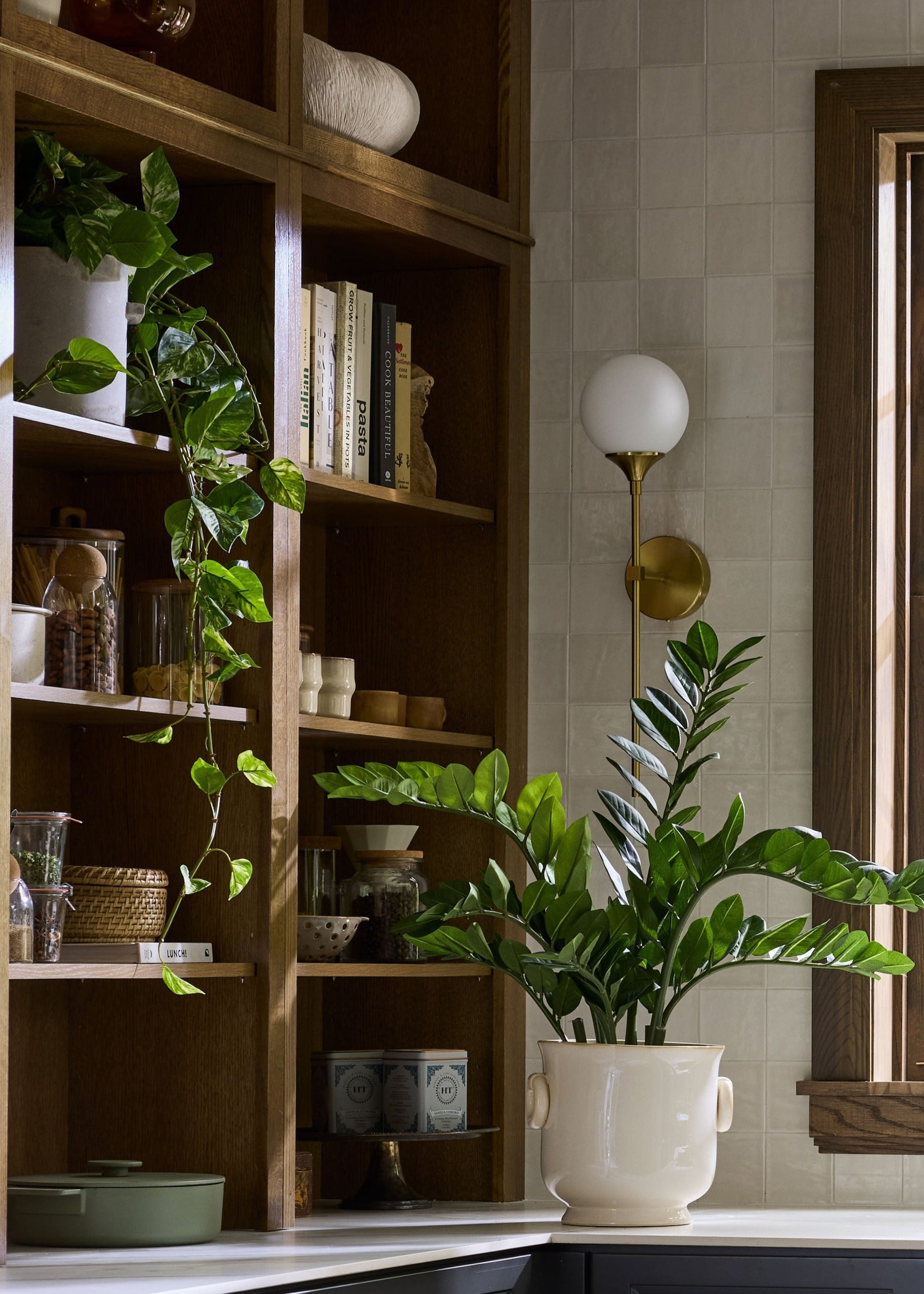 Fake Pothos and Fake ZZ Plant