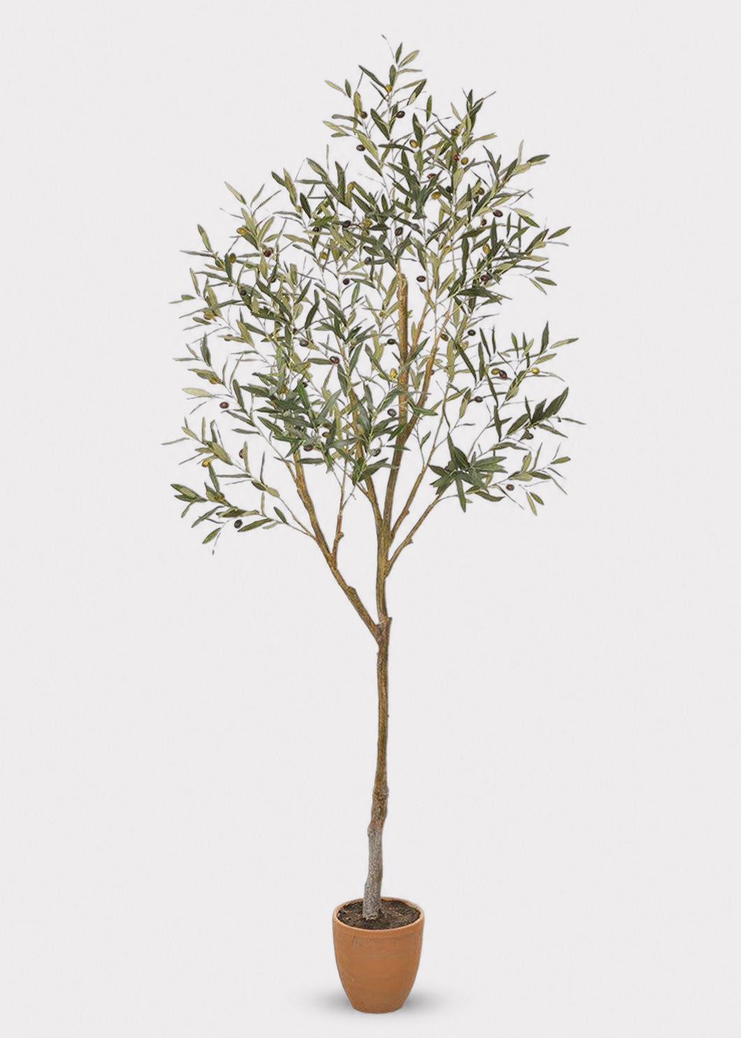 Large Artificial Olive Plant 