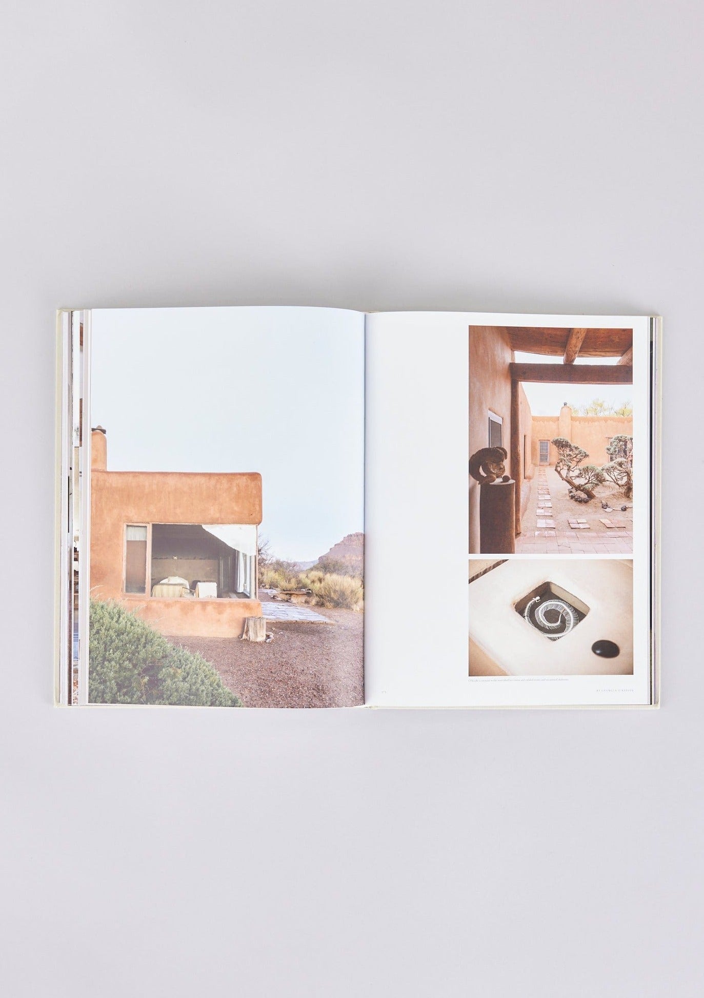 Living In-Architectural Book at Afloral