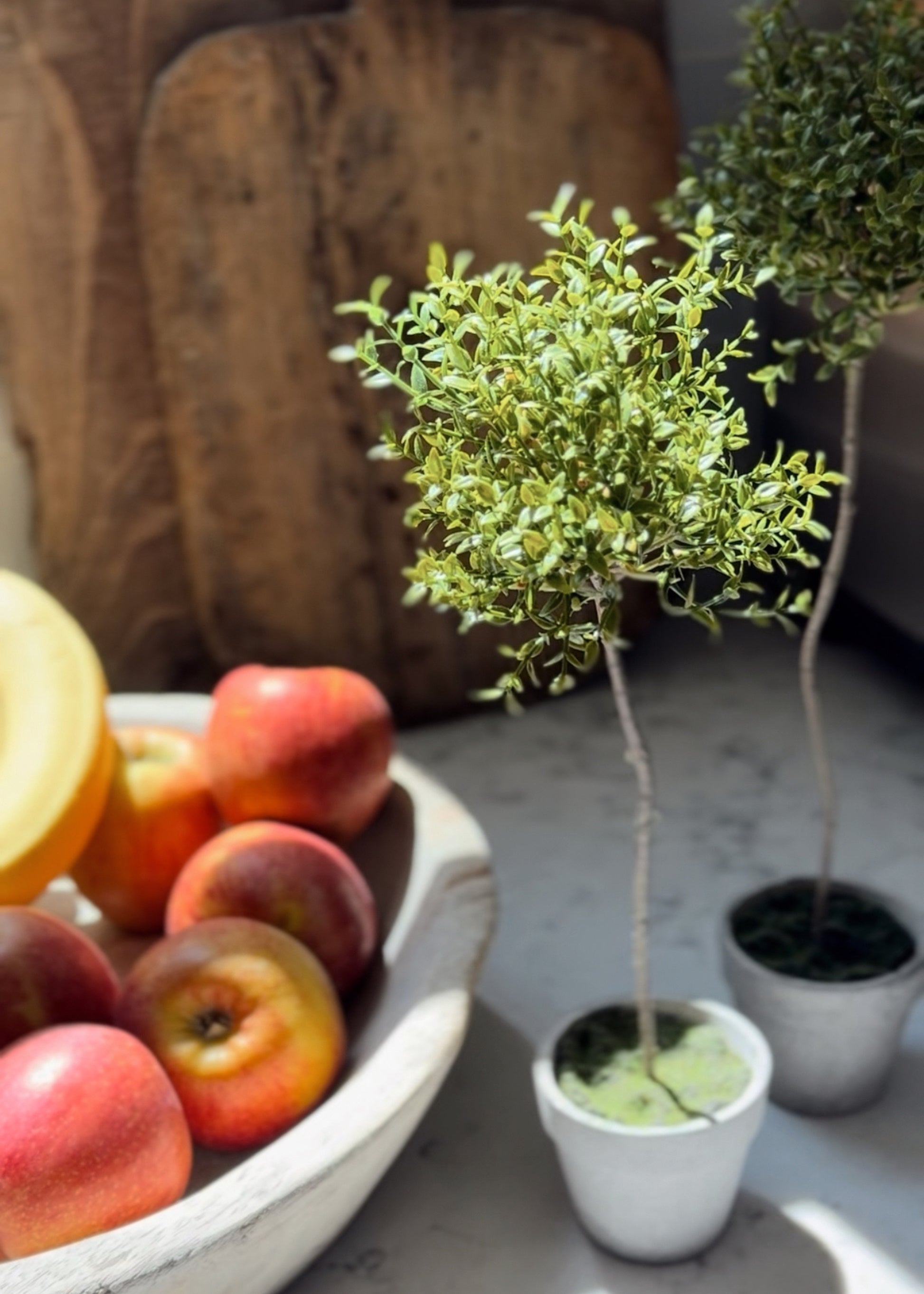 Close-up of Faux Thyme Topiary