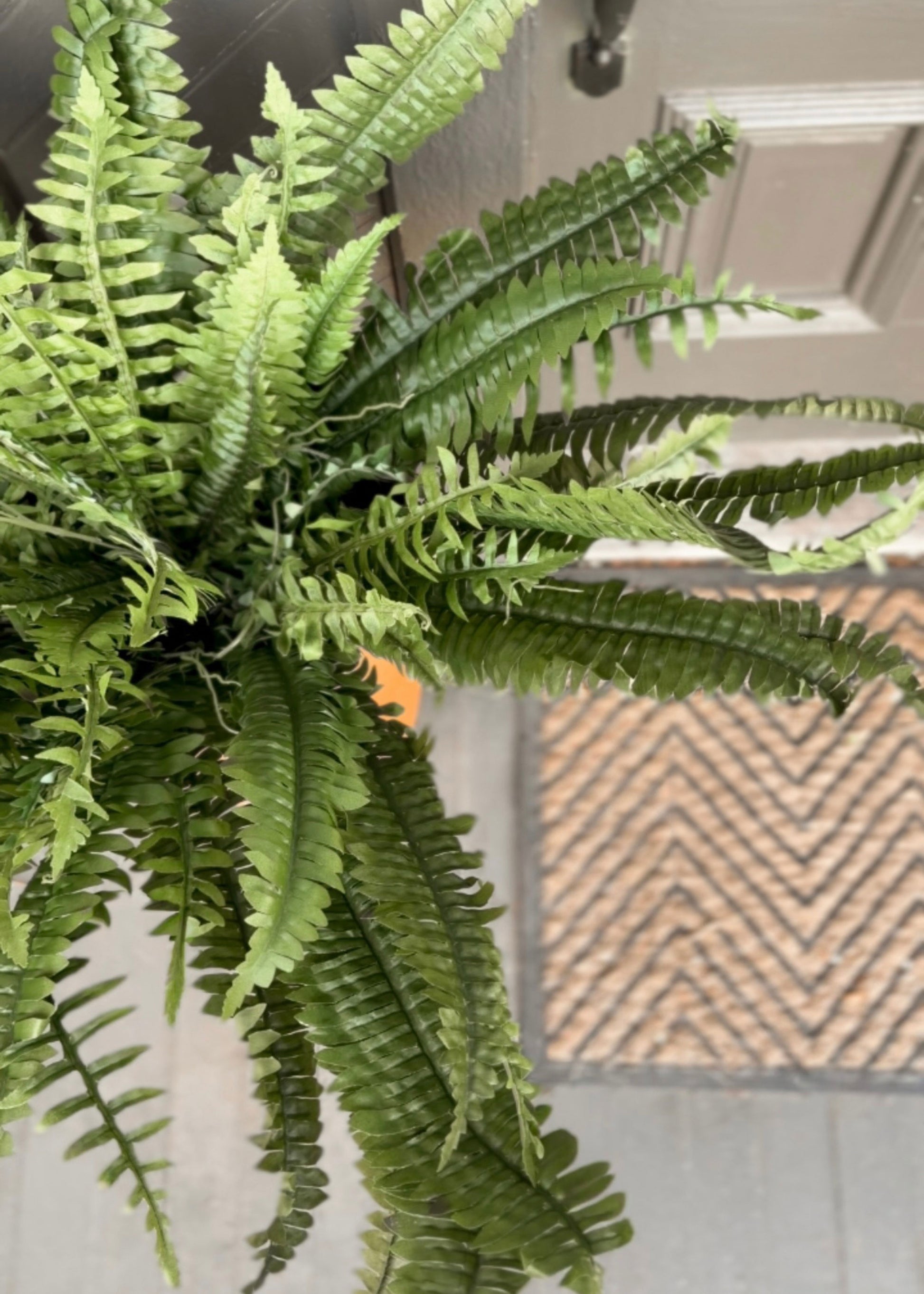 fake hanging fern plants 38" UV Estate Boston Fern