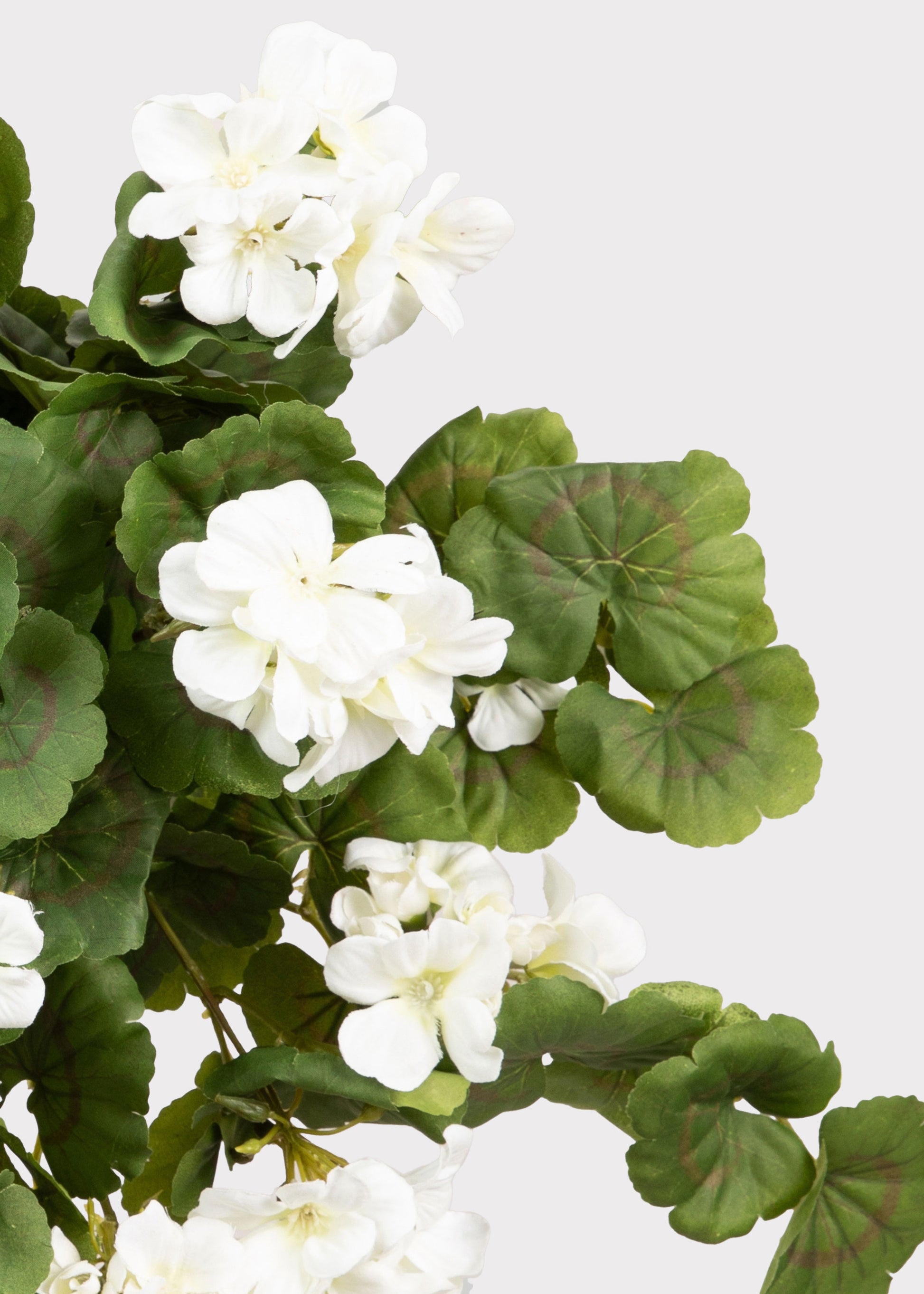 Artificial White Geraniums