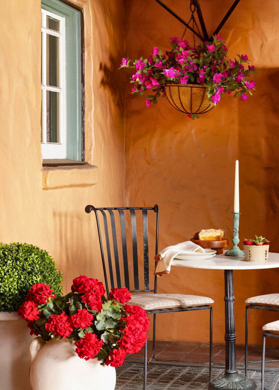 azalea house plant outdoors 24" UV Hanging Azalea Plant