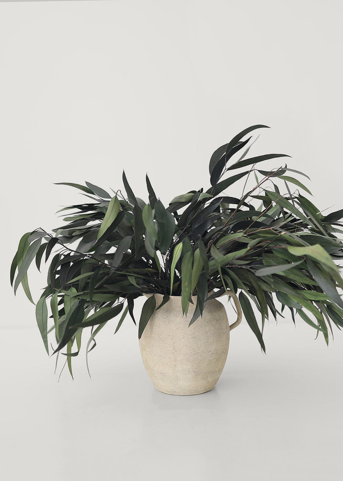 Preserved Weeping Eucalyptus Branches in Pitcher Vase