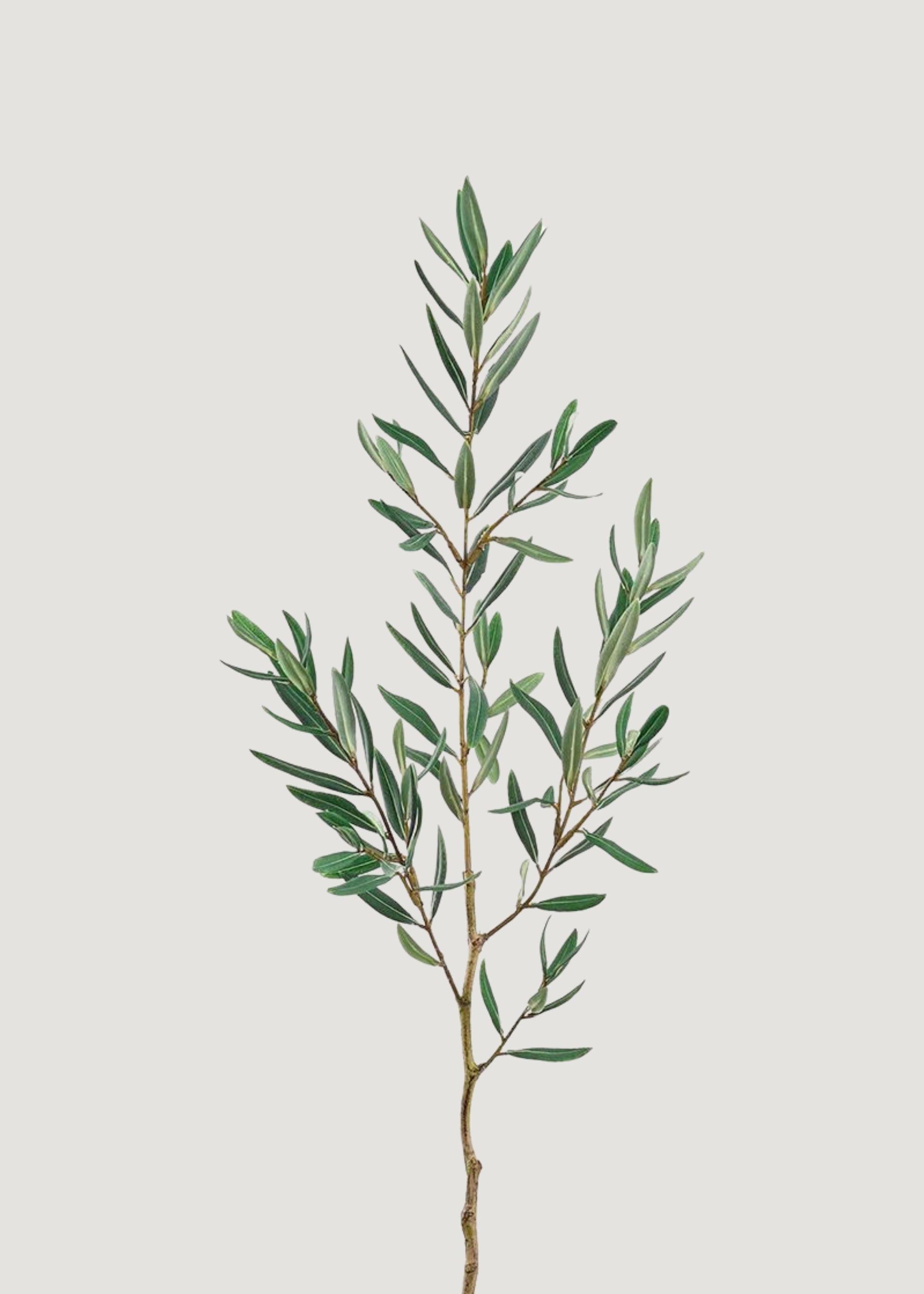 Artificial Olive Leaf Branch