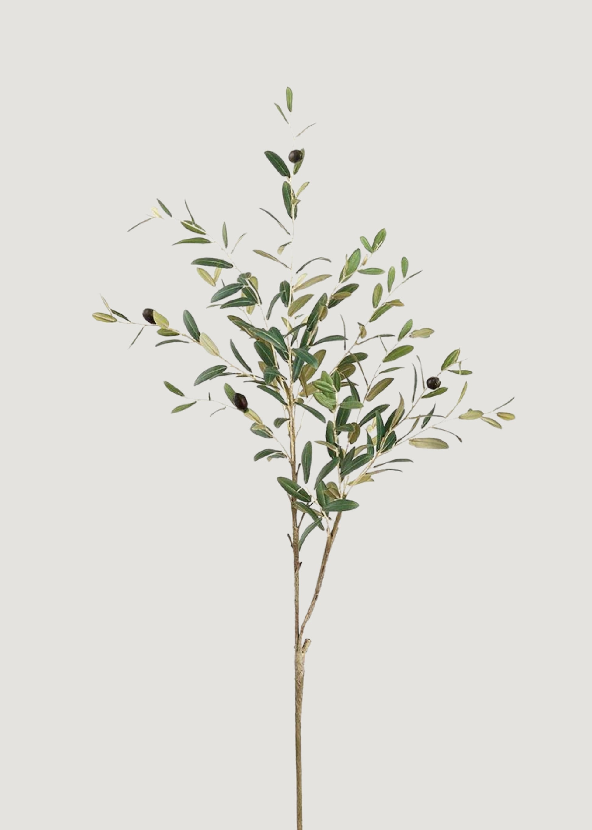 Tall Fake Olive and Leaf Branch 