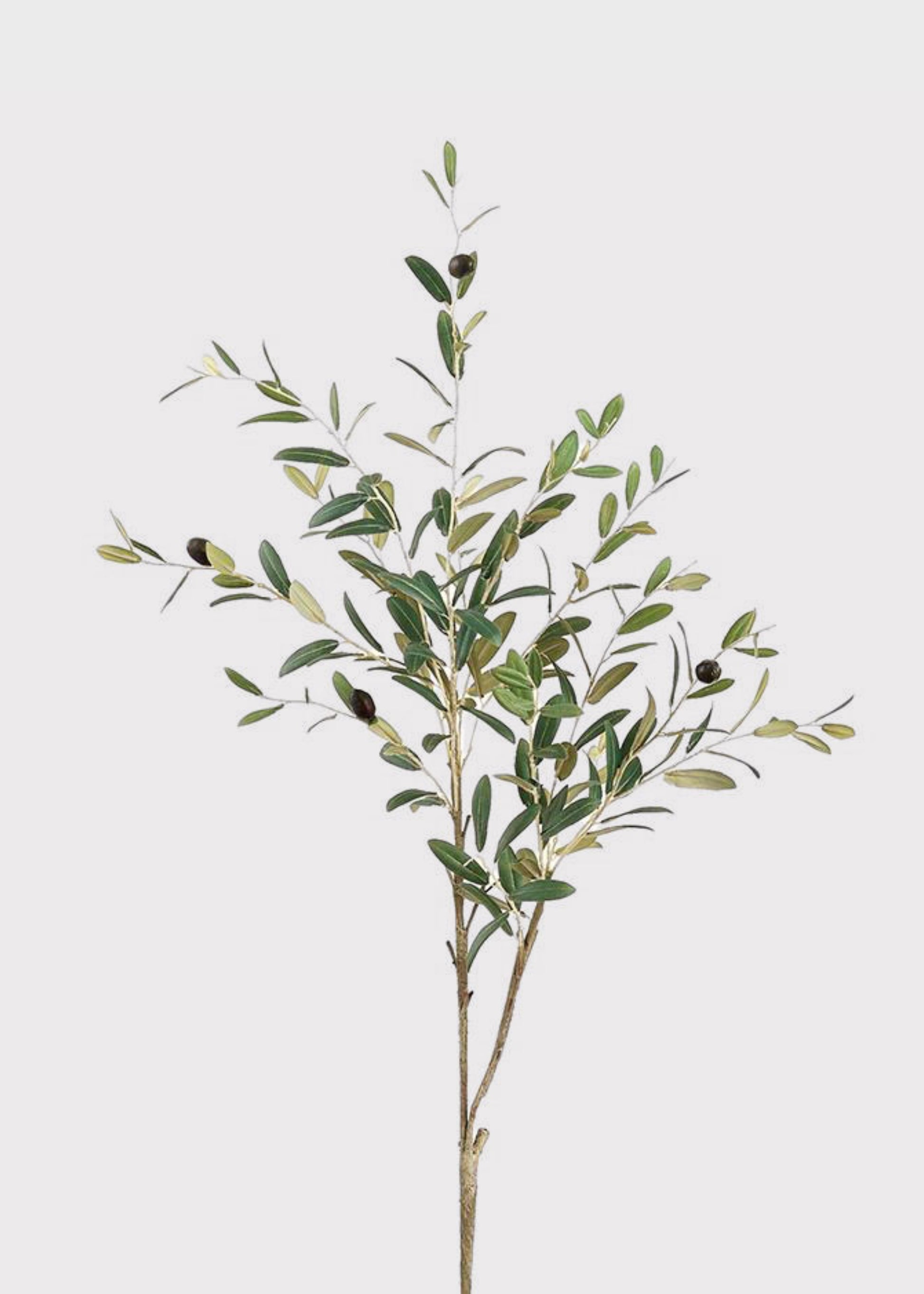 Tall Fake Olive and Leaf Branch 
