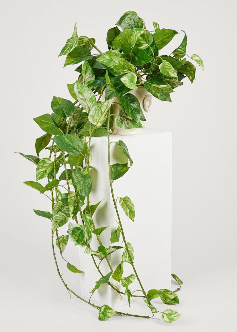 Natural Touch Faux Pothos Hanging Plant from Afloral