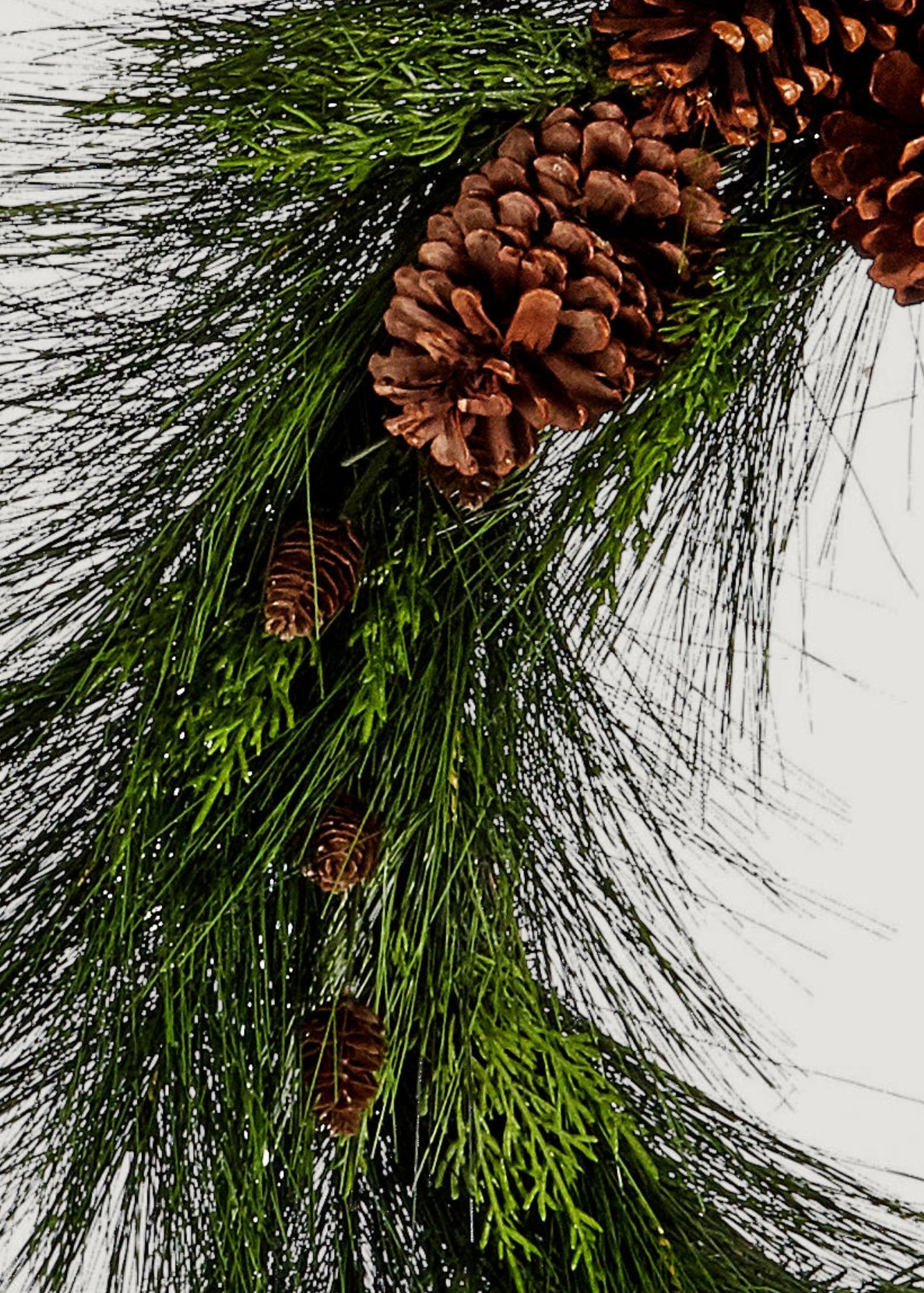 Close-up of long needle pine wreath with pine cones