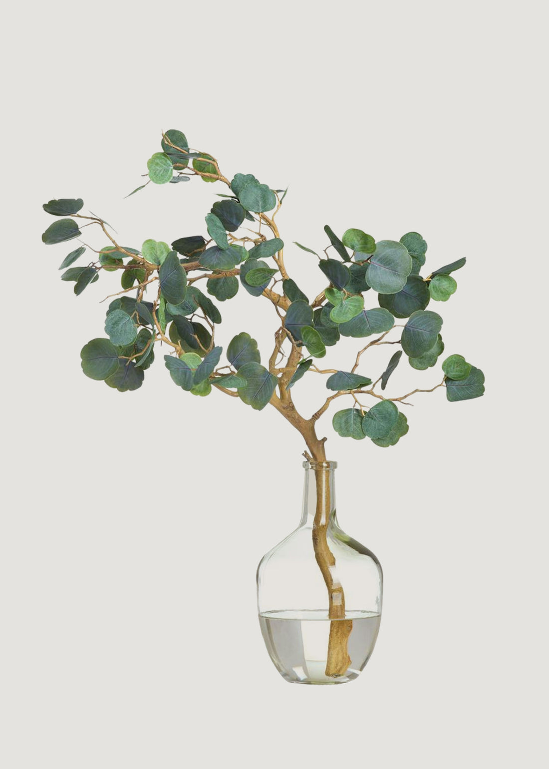 Fake Cotinus Leaf Branch Arrangement in Glass Bottle