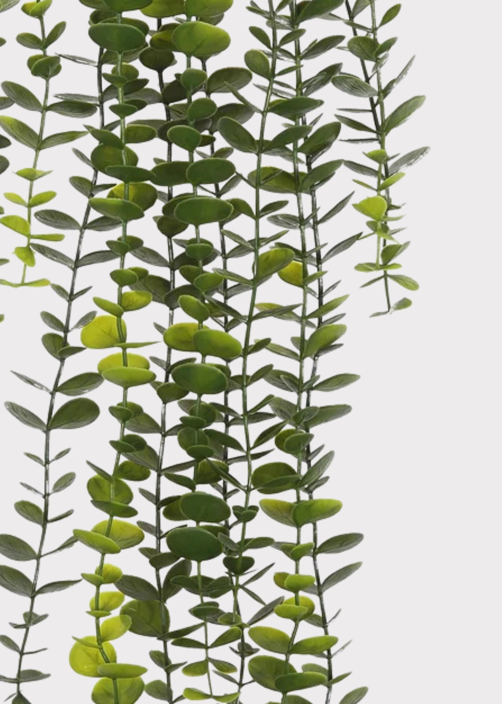 Artificial Hanging Eucalyptus