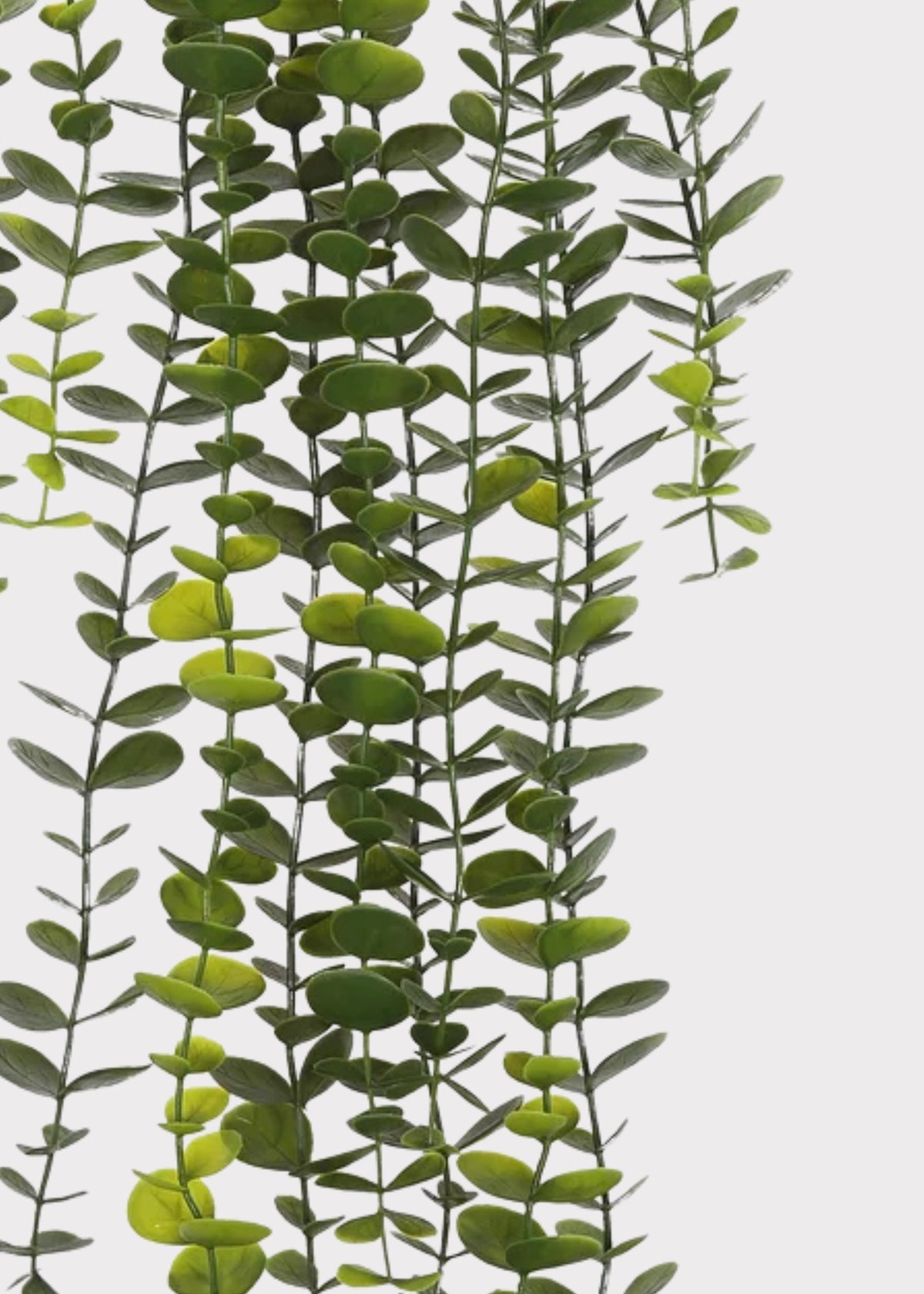 Artificial Hanging Eucalyptus