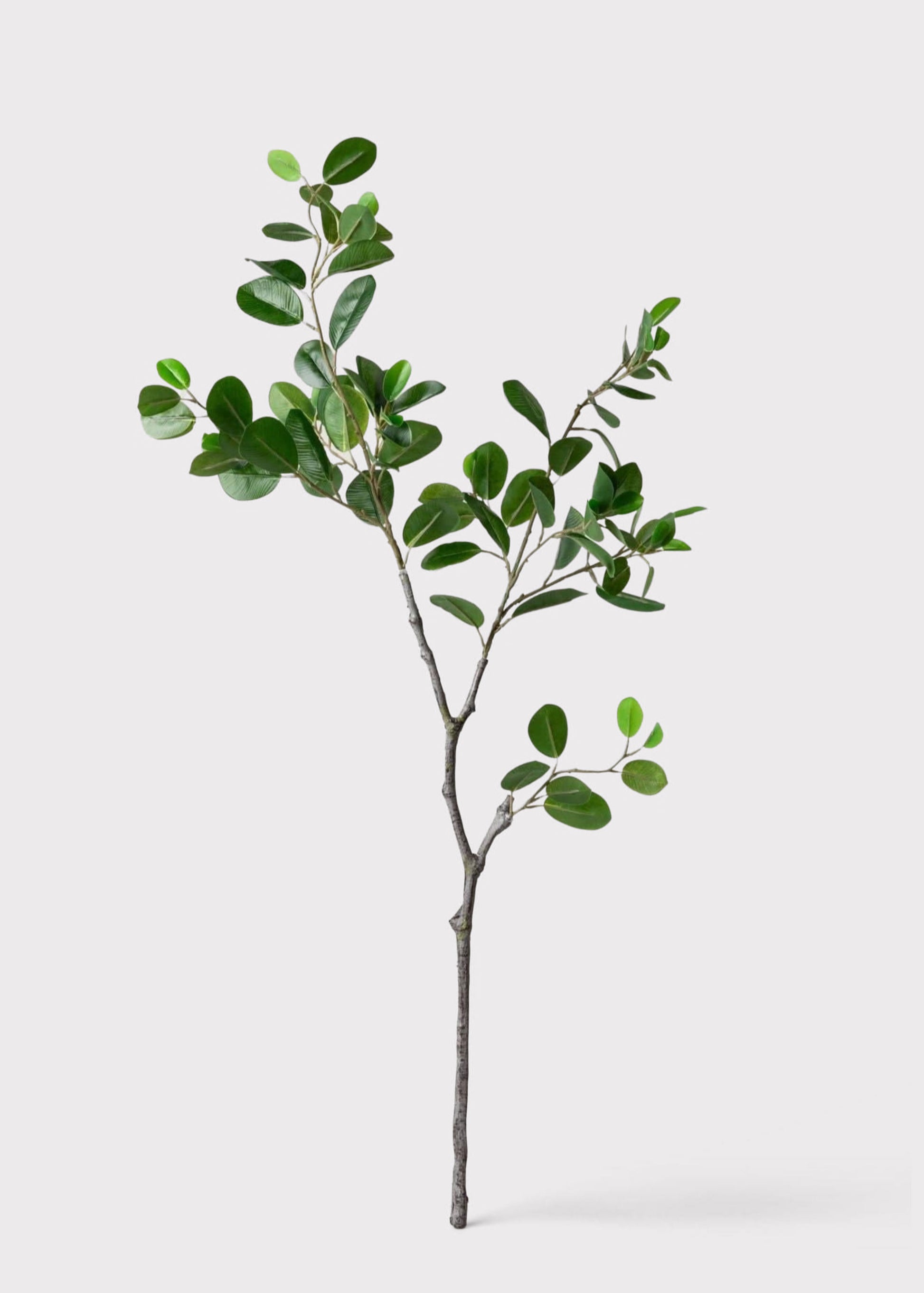 Artificial Italian Ficus Branch