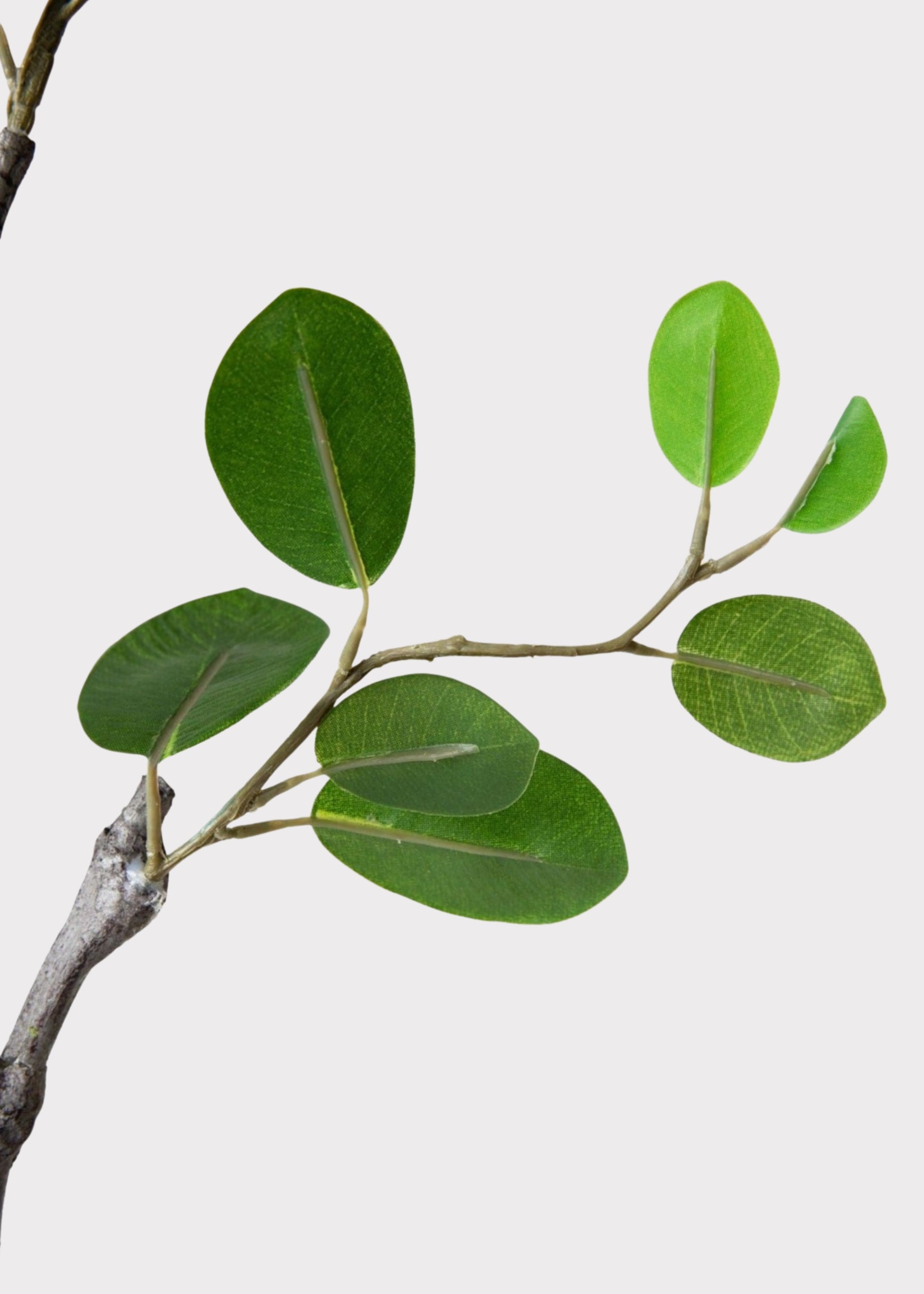 Artificial Italian Ficus Leaf Branch