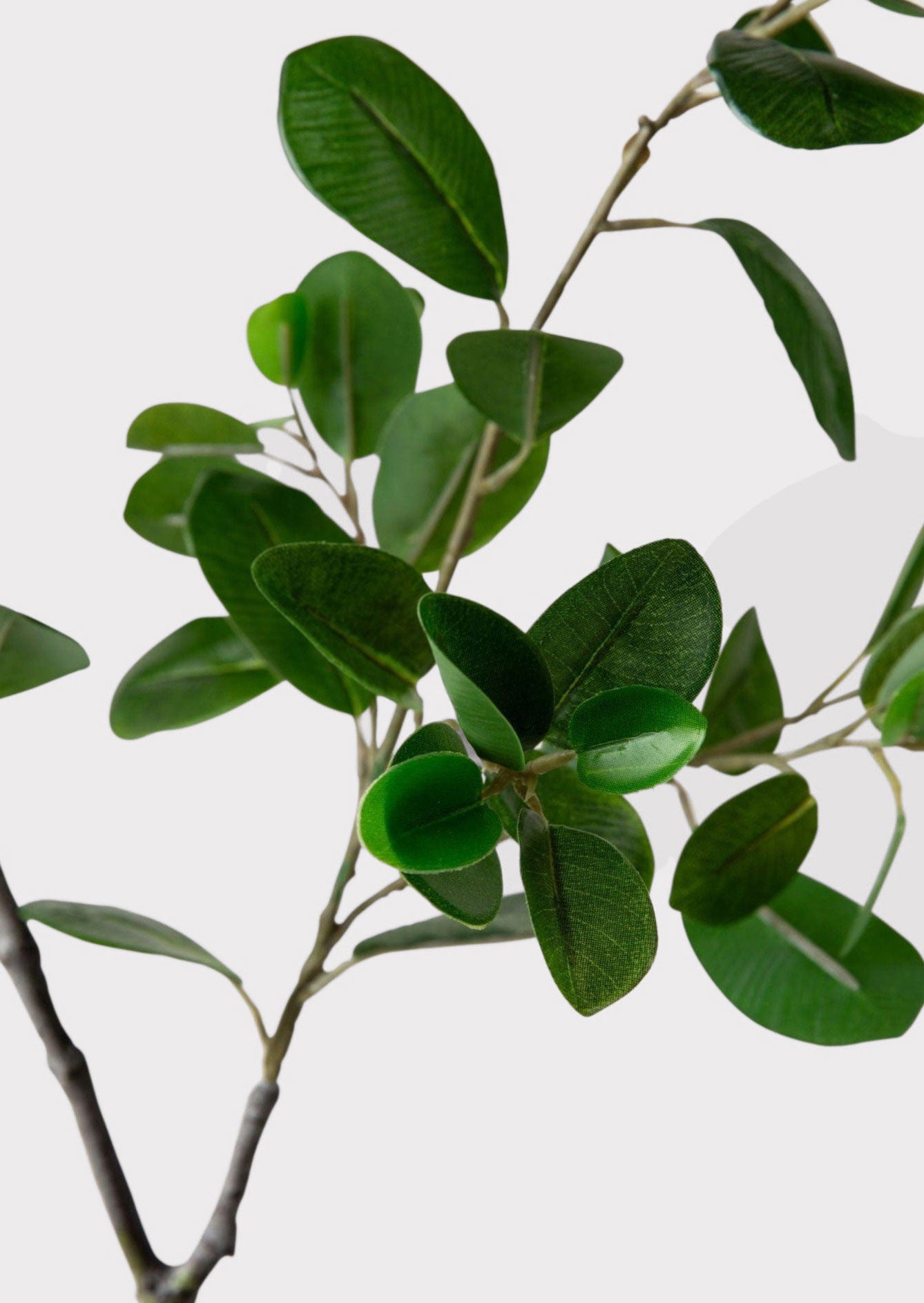 Artificial Italian Ficus Leaves