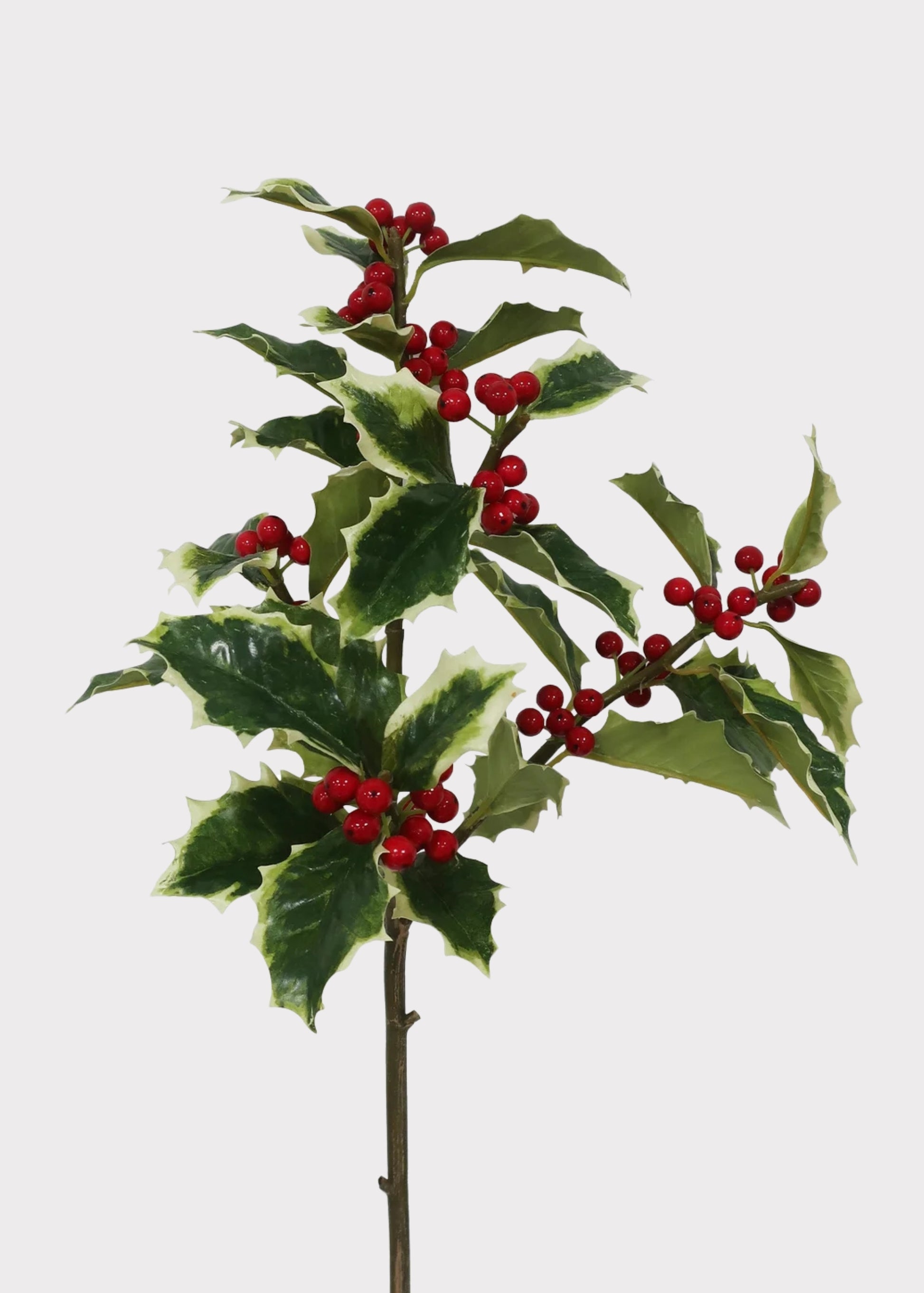 Artificial Holiday Greens Holly Branch