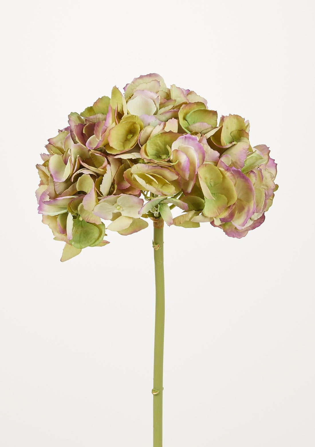 Elevated Artificial Flowers Hydrangea Stem in Antique Green at afloral