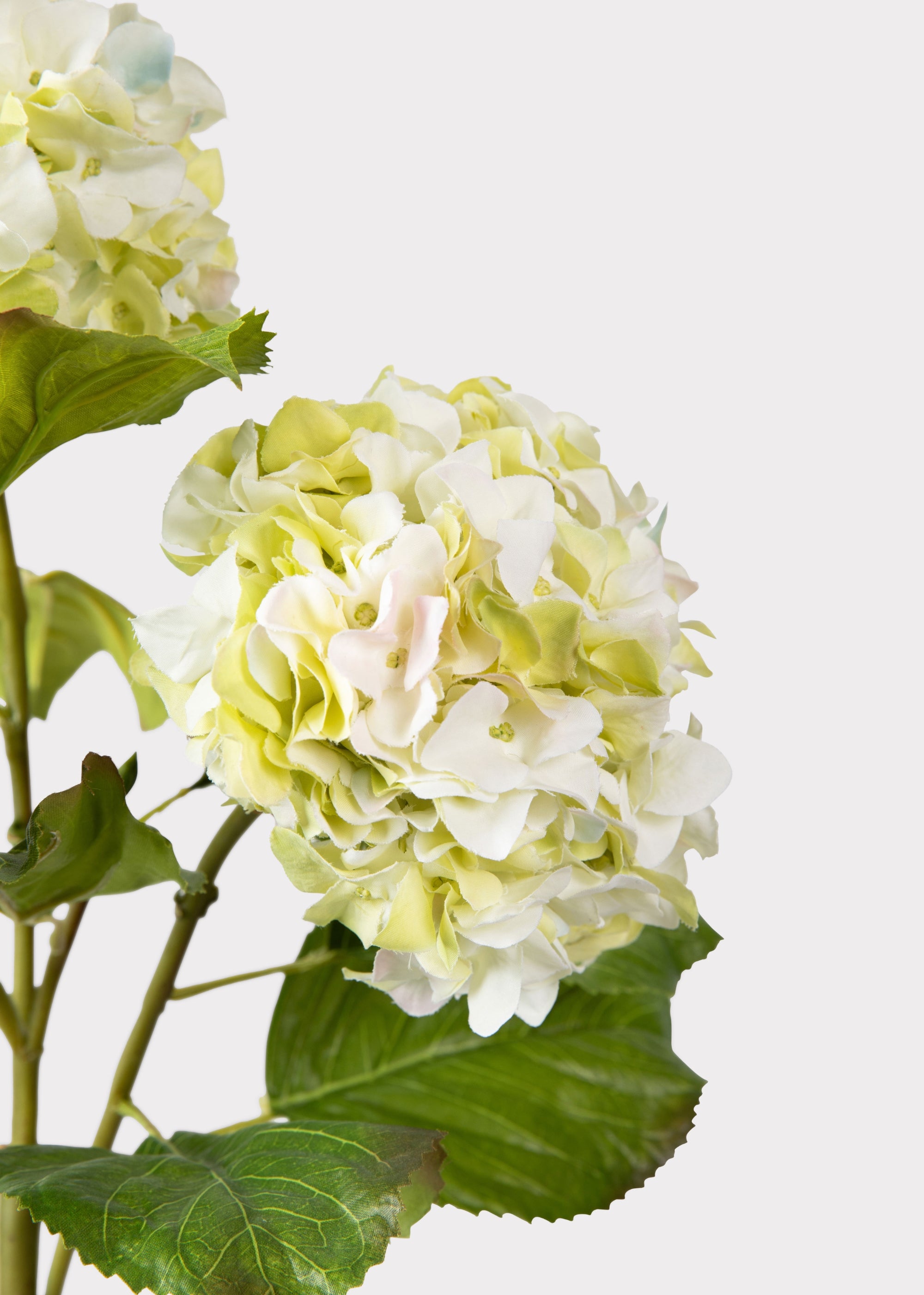 Cream Green Hydrangea Branch | Artificial Flowers at Afloral