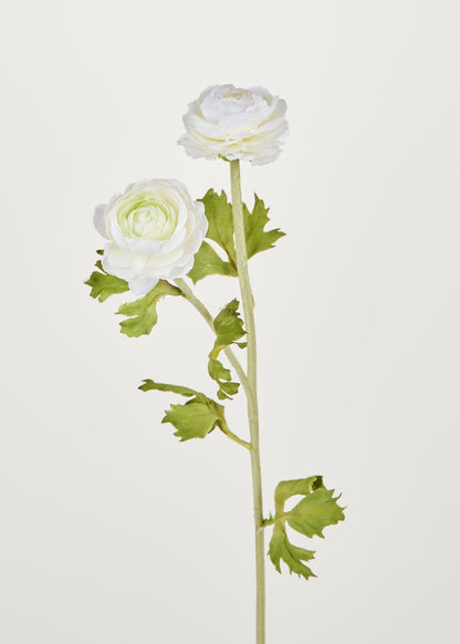 Artificial Flowers Ranunculus Stem in White at Afloral